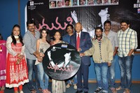 Madhumati Movie Audio Release